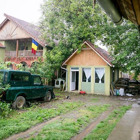 Pensiune Muzeu Traditional Poveste In Transilvania Sighisoara Bagian luar foto